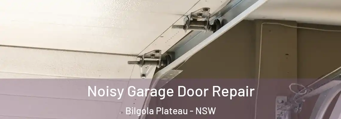 Noisy Garage Door Repair Bilgola Plateau - NSW