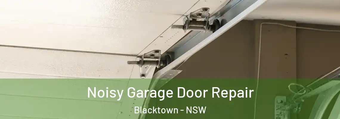 Noisy Garage Door Repair Blacktown - NSW
