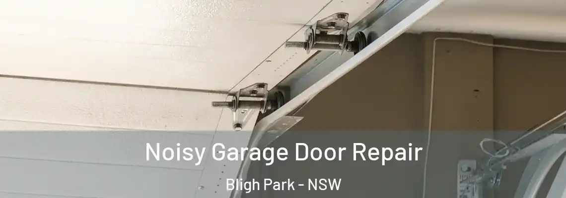 Noisy Garage Door Repair Bligh Park - NSW