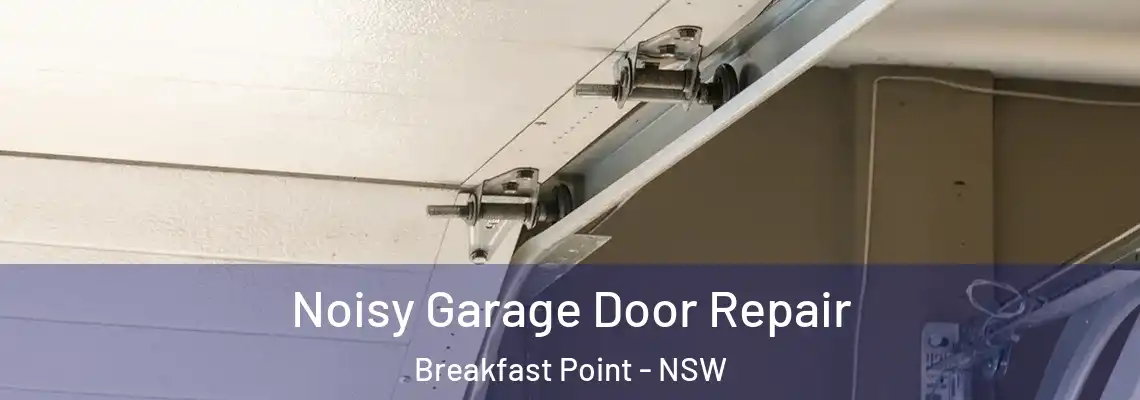 Noisy Garage Door Repair Breakfast Point - NSW