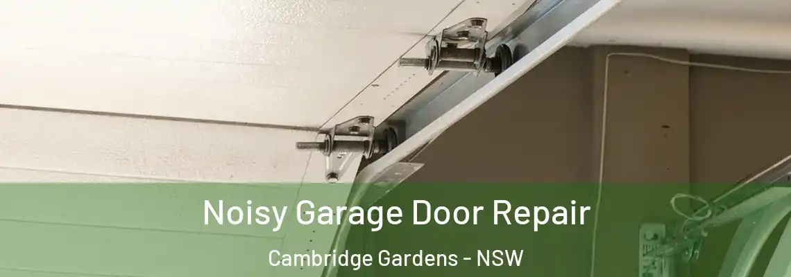 Noisy Garage Door Repair Cambridge Gardens - NSW