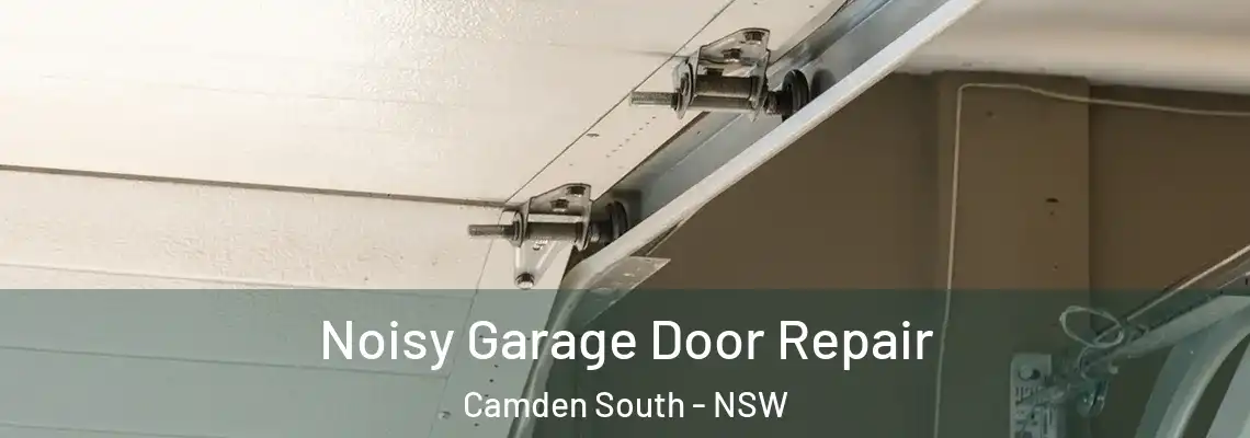 Noisy Garage Door Repair Camden South - NSW