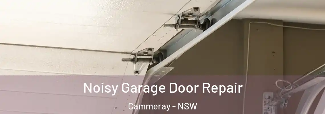 Noisy Garage Door Repair Cammeray - NSW