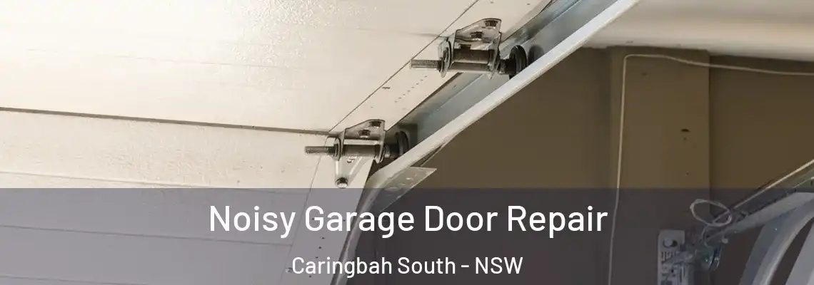  Noisy Garage Door Repair Caringbah South - NSW