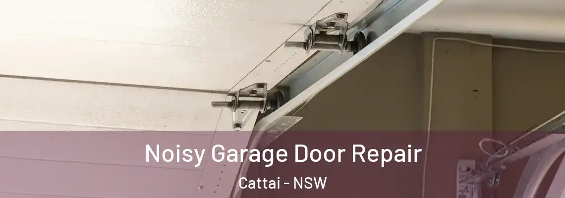 Noisy Garage Door Repair Cattai - NSW