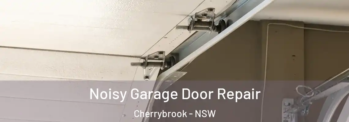 Noisy Garage Door Repair Cherrybrook - NSW