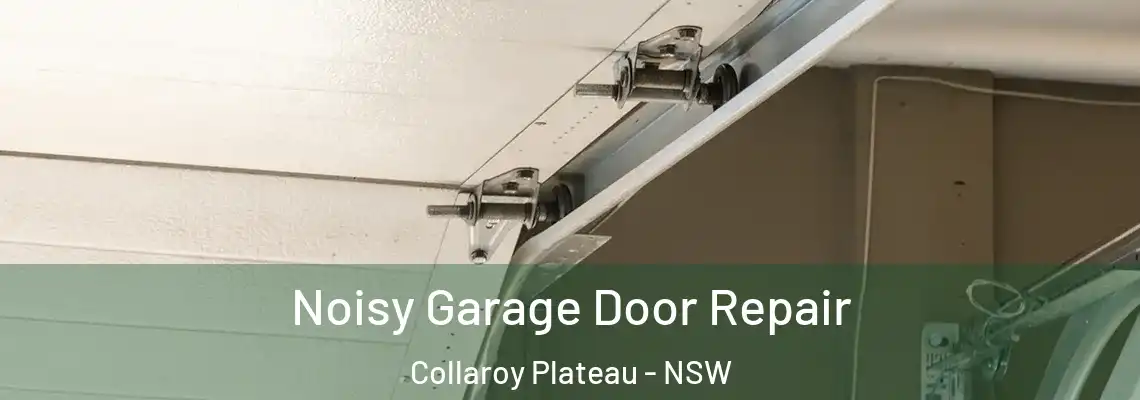 Noisy Garage Door Repair Collaroy Plateau - NSW