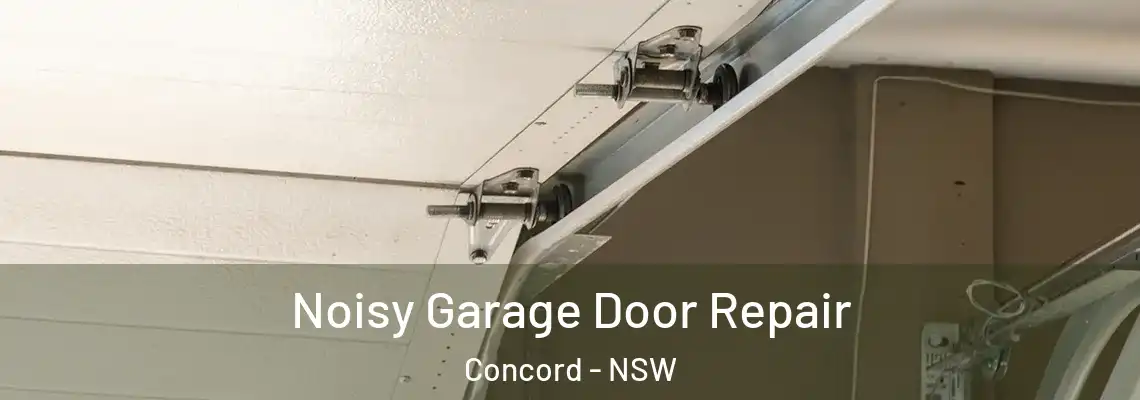 Noisy Garage Door Repair Concord - NSW