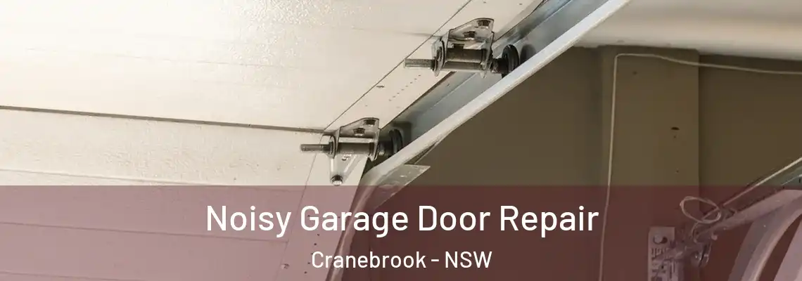 Noisy Garage Door Repair Cranebrook - NSW