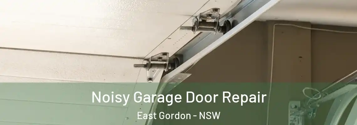 Noisy Garage Door Repair East Gordon - NSW