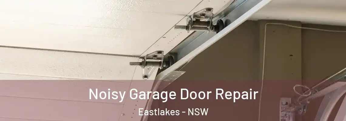 Noisy Garage Door Repair Eastlakes - NSW