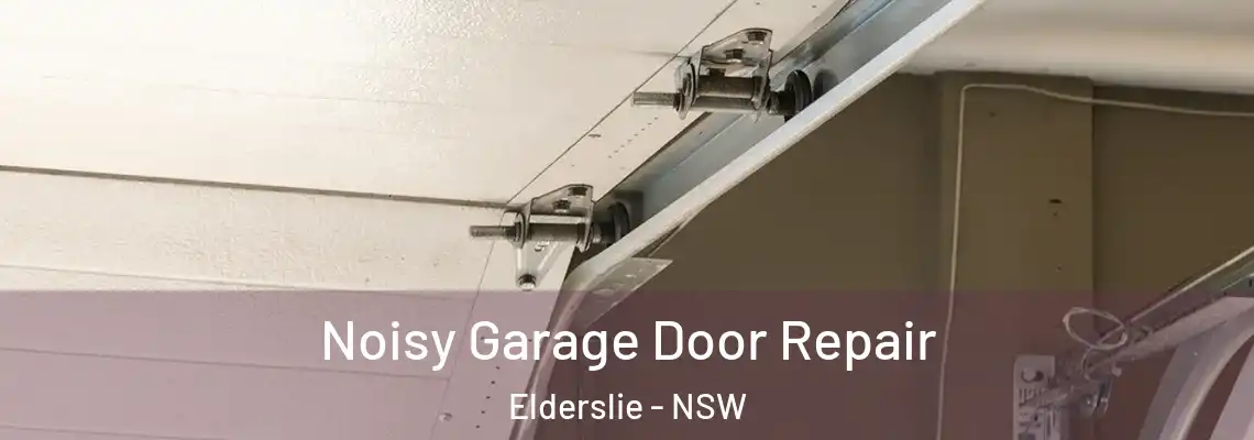 Noisy Garage Door Repair Elderslie - NSW