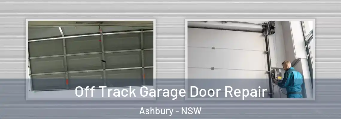 Off Track Garage Door Repair Ashbury - NSW