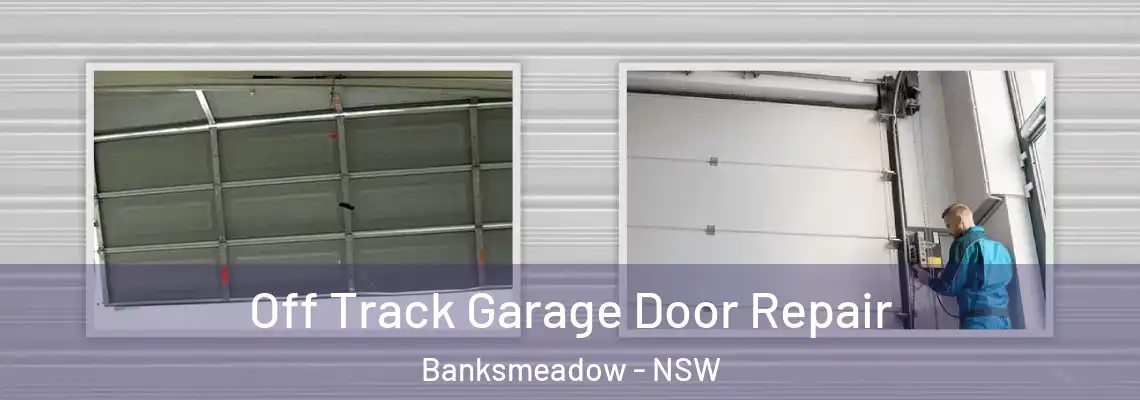 Off Track Garage Door Repair Banksmeadow - NSW