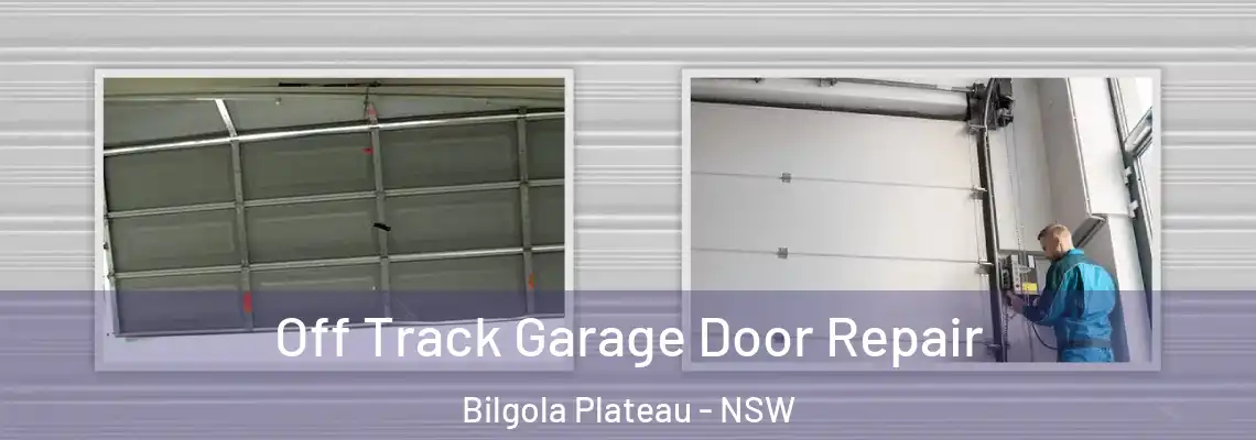 Off Track Garage Door Repair Bilgola Plateau - NSW