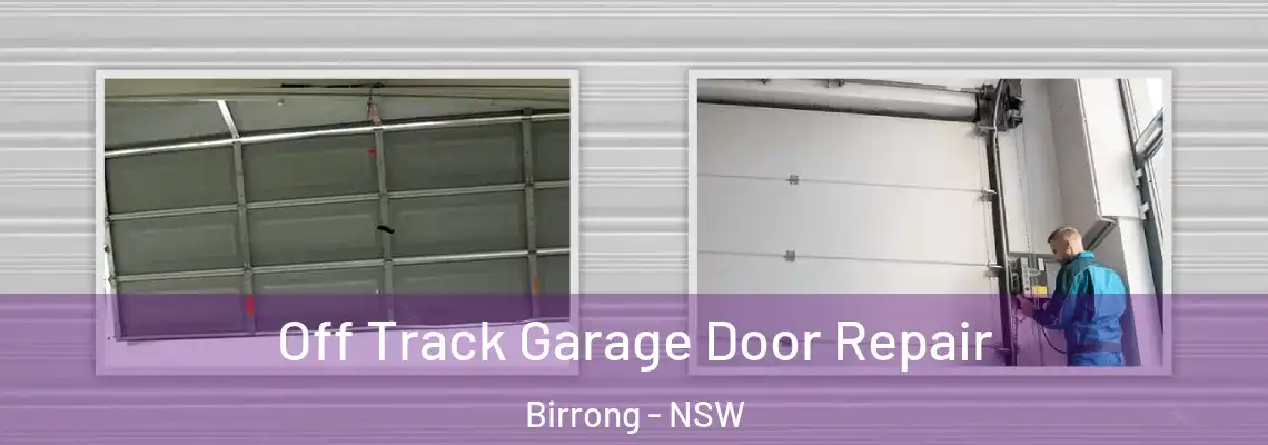 Off Track Garage Door Repair Birrong - NSW