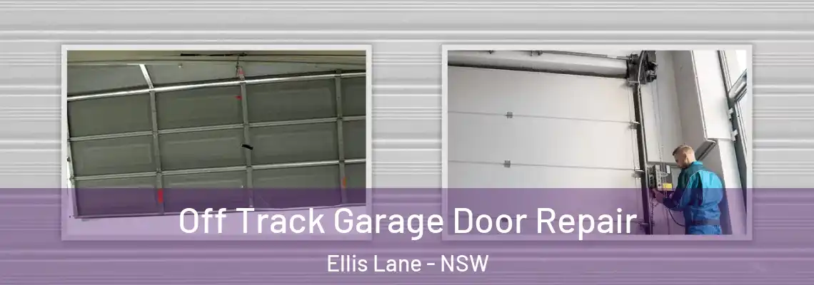 Off Track Garage Door Repair Ellis Lane - NSW