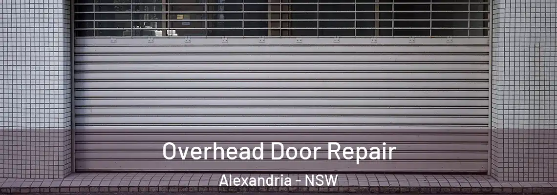 Overhead Door Repair Alexandria - NSW