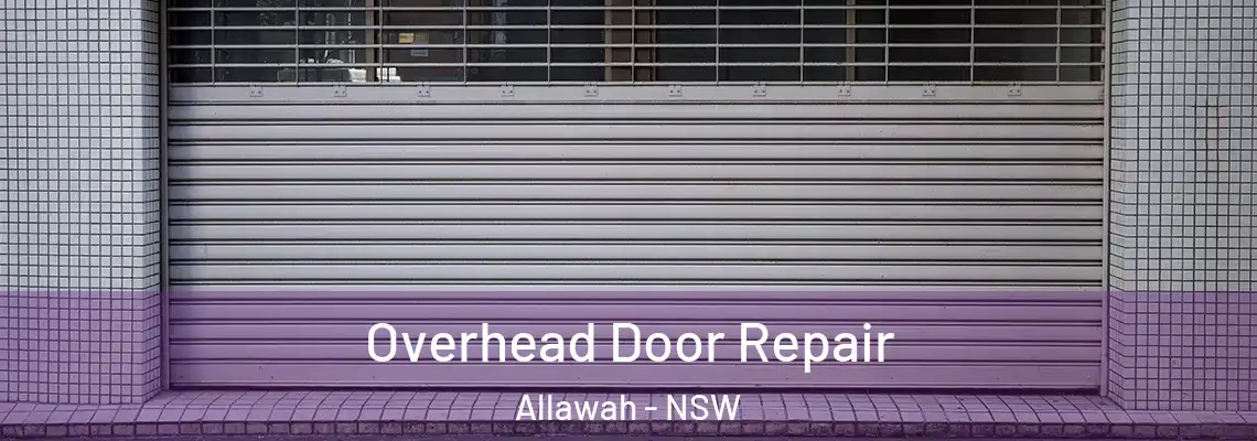Overhead Door Repair Allawah - NSW