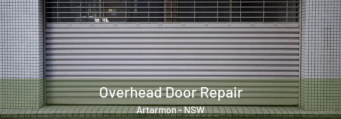 Overhead Door Repair Artarmon - NSW