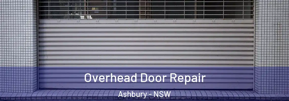 Overhead Door Repair Ashbury - NSW