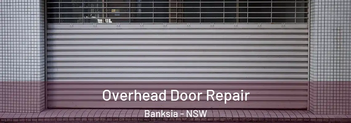 Overhead Door Repair Banksia - NSW