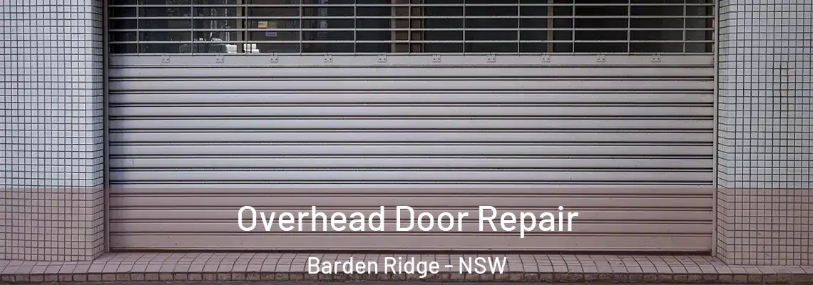 Overhead Door Repair Barden Ridge - NSW