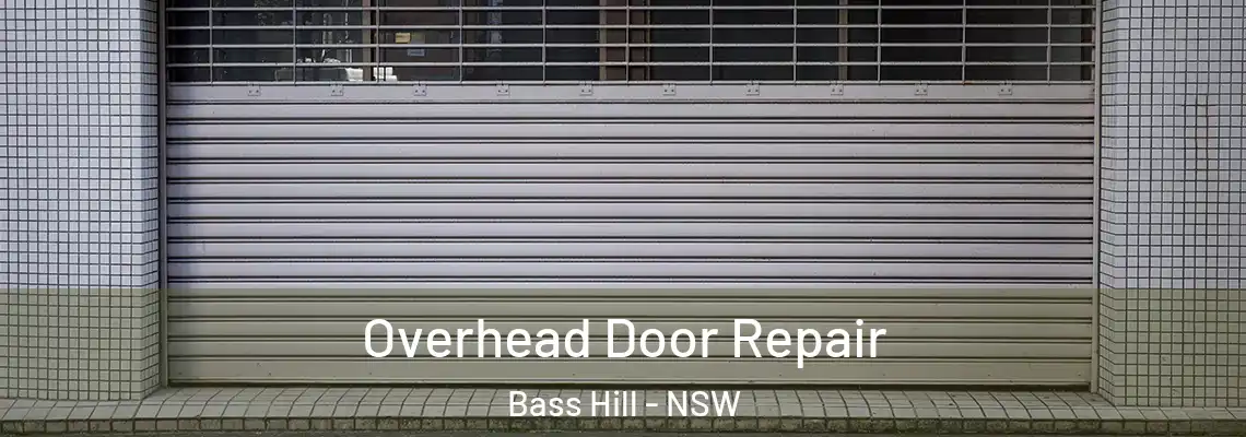  Overhead Door Repair Bass Hill - NSW