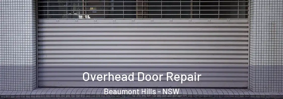 Overhead Door Repair Beaumont Hills - NSW