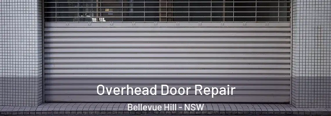 Overhead Door Repair Bellevue Hill - NSW
