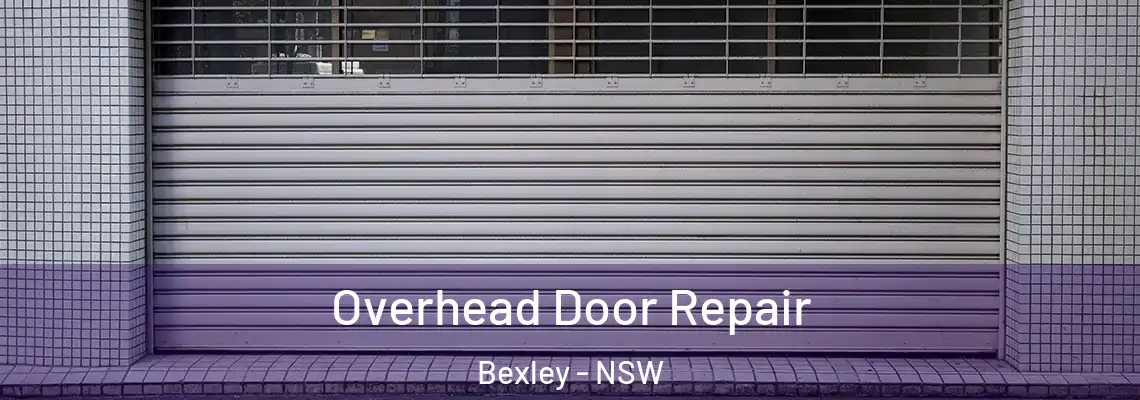  Overhead Door Repair Bexley - NSW