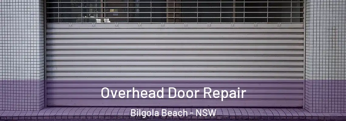 Overhead Door Repair Bilgola Beach - NSW