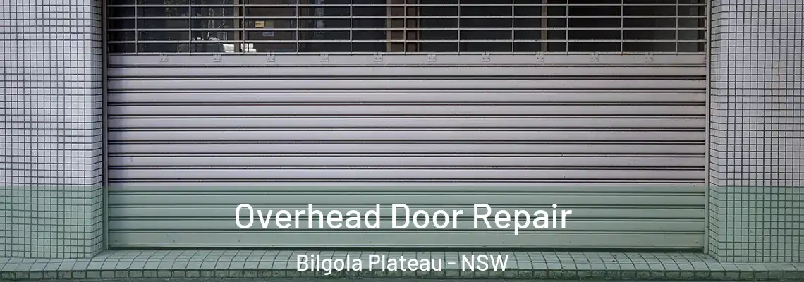 Overhead Door Repair Bilgola Plateau - NSW