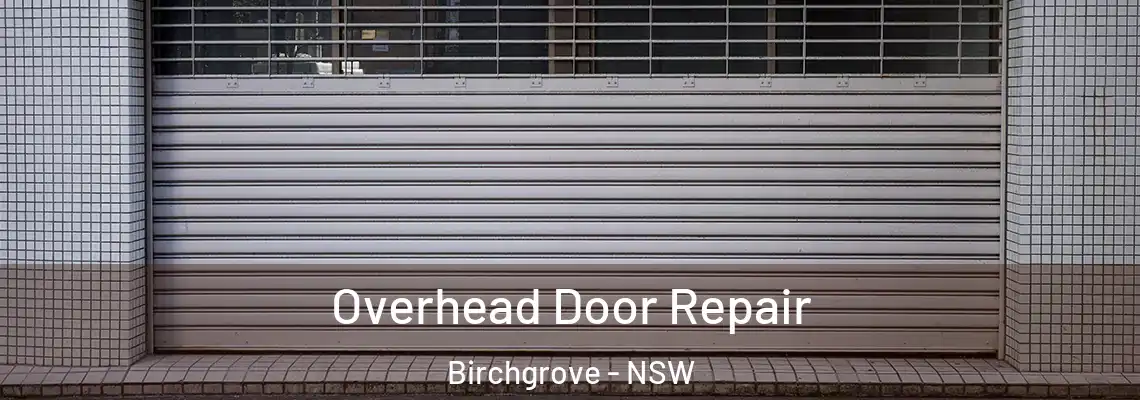 Overhead Door Repair Birchgrove - NSW
