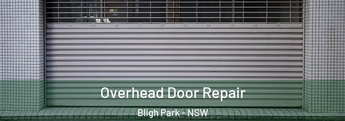 Overhead Door Repair Bligh Park - NSW