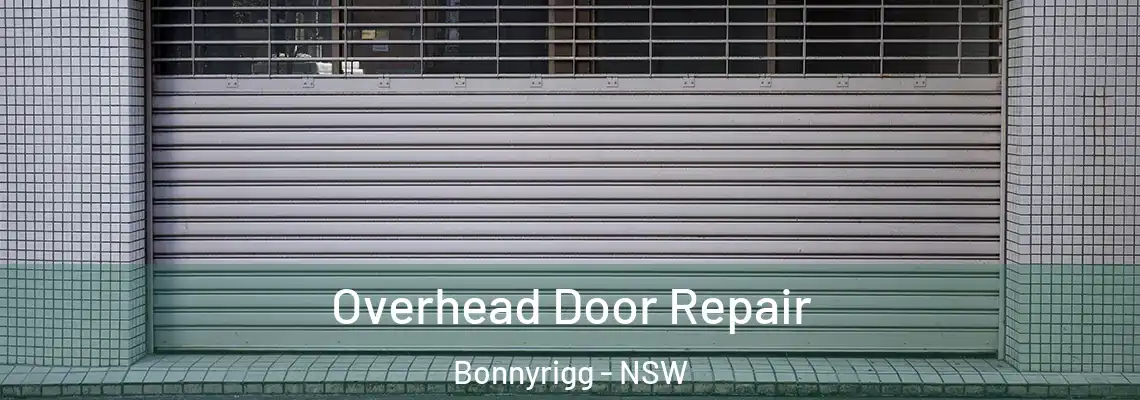 Overhead Door Repair Bonnyrigg - NSW