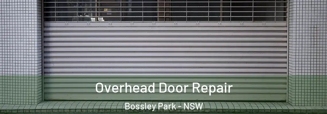 Overhead Door Repair Bossley Park - NSW