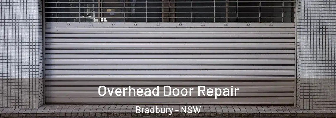 Overhead Door Repair Bradbury - NSW