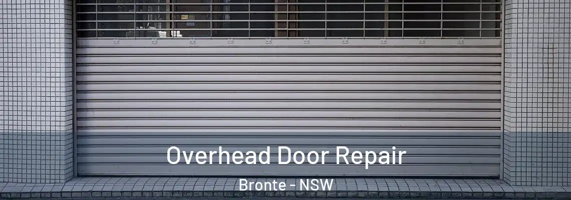 Overhead Door Repair Bronte - NSW