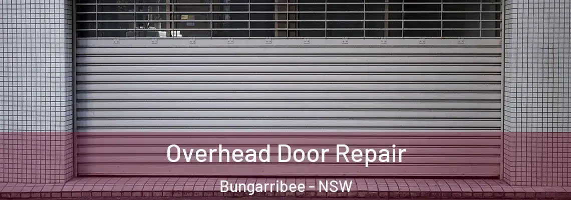 Overhead Door Repair Bungarribee - NSW