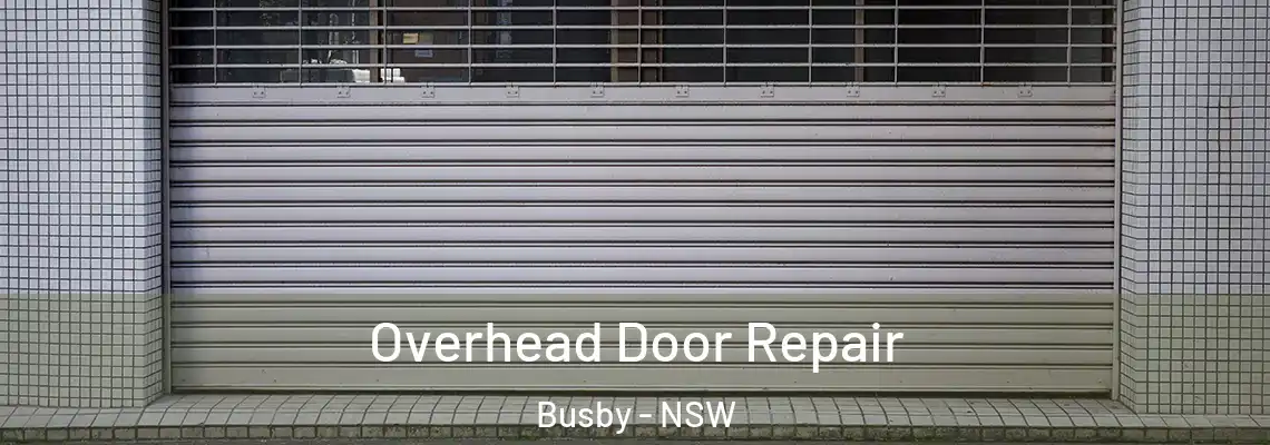 Overhead Door Repair Busby - NSW
