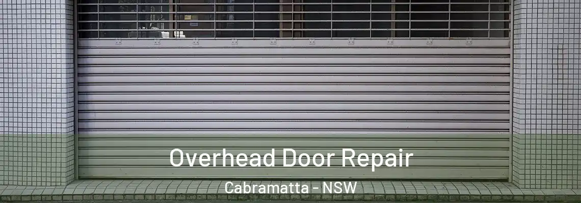 Overhead Door Repair Cabramatta - NSW