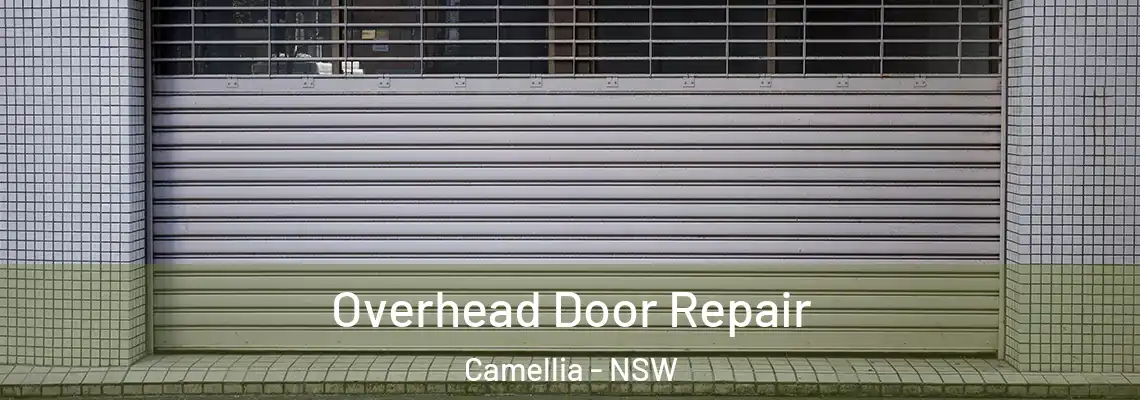 Overhead Door Repair Camellia - NSW