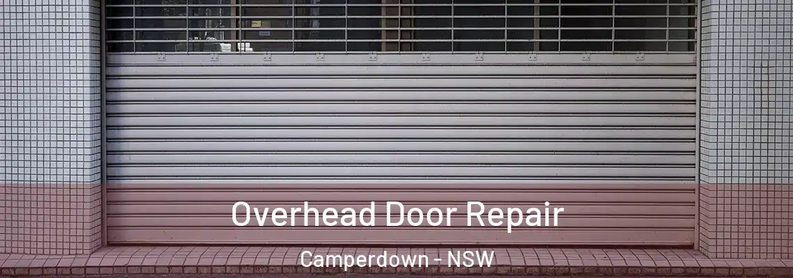 Overhead Door Repair Camperdown - NSW
