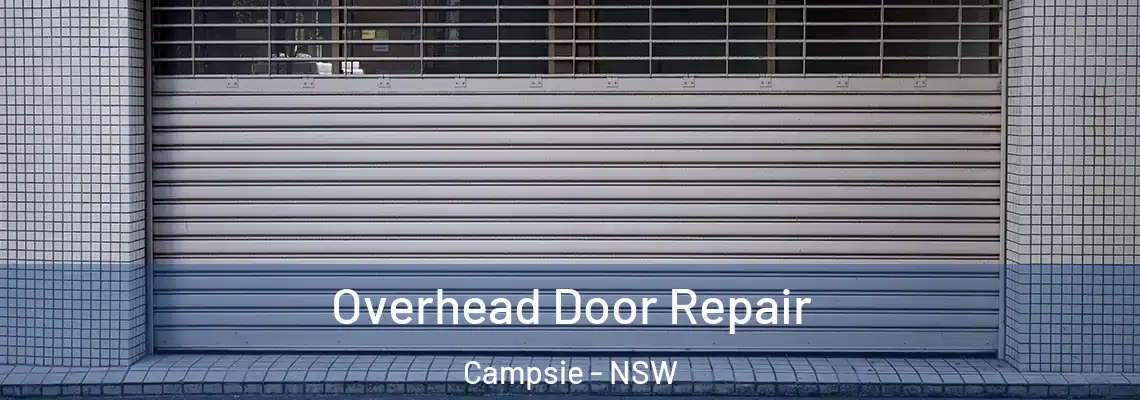  Overhead Door Repair Campsie - NSW