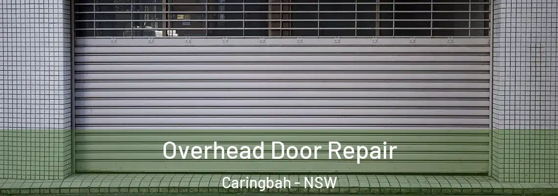  Overhead Door Repair Caringbah - NSW