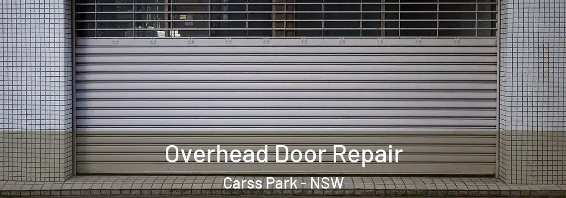  Overhead Door Repair Carss Park - NSW