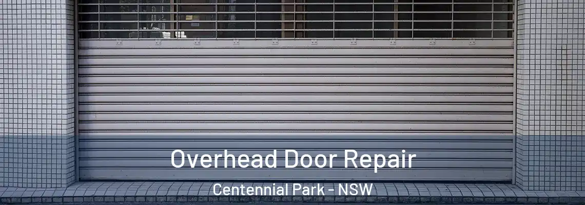  Overhead Door Repair Centennial Park - NSW