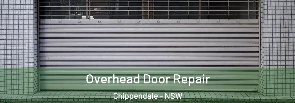 Overhead Door Repair Chippendale - NSW