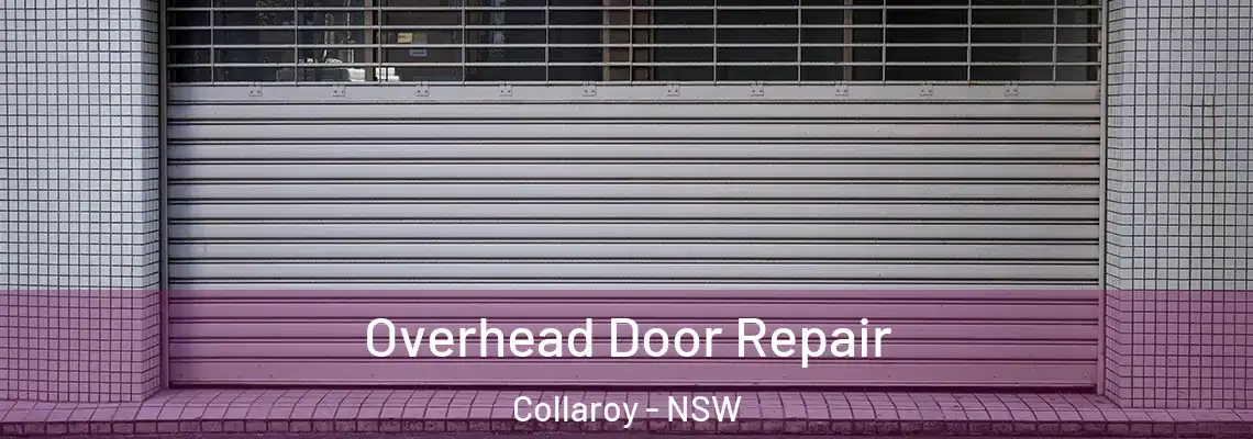  Overhead Door Repair Collaroy - NSW